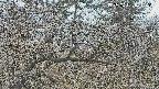 area3-20250401141121.jpg
