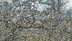 area3-20250401154118.jpg