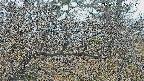 area3-20250401163119.jpg