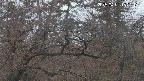 area3-20250401182116.jpg