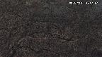 area3-20250401185118.jpg