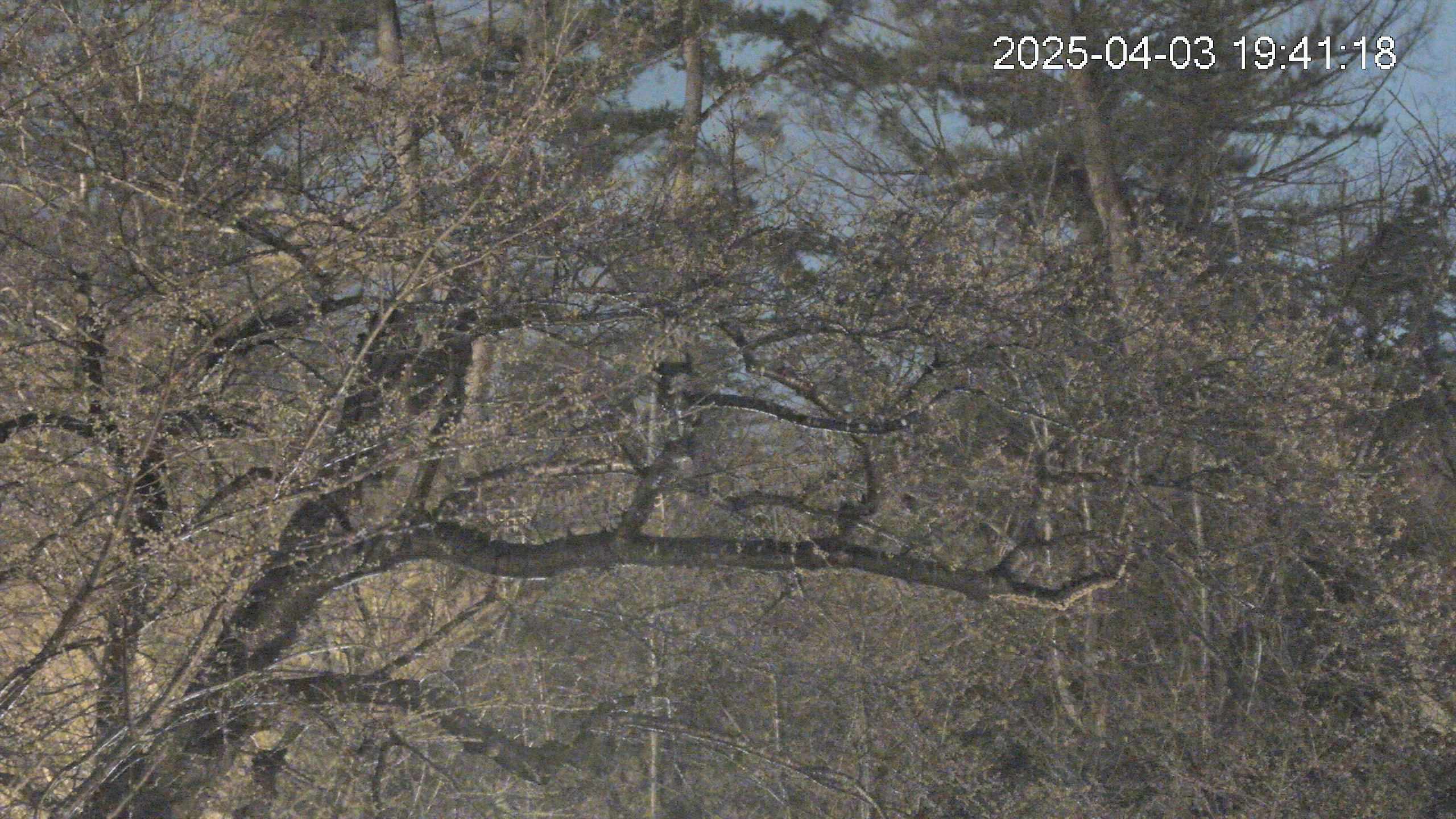 area3-20250403194119.jpg