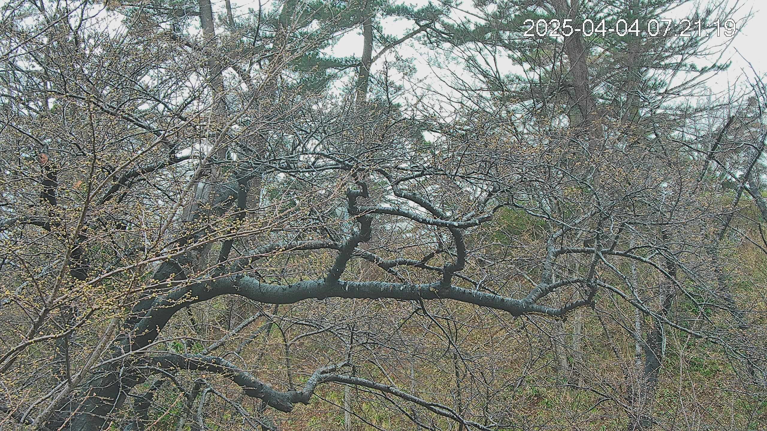 area3-20250404072120.jpg