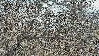 area3-20250405053119.jpg