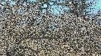 area3-20250405115120.jpg