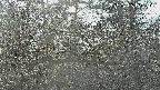 area3-20250405150121.jpg