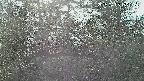 area3-20250405152119.jpg