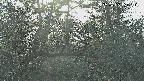 area3-20250405160120.jpg