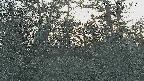 area3-20250405171119.jpg
