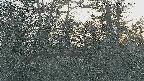 area3-20250405172122.jpg
