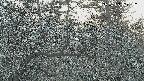 area3-20250405180118.jpg