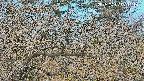 area3-20250407071119.jpg