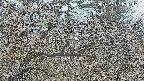 area3-20250407134123.jpg