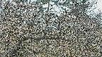 area3-20250408091122.jpg