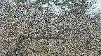 area3-20250408102118.jpg