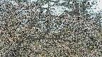 area3-20250408124119.jpg