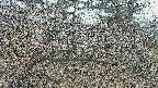 area3-20250408125119.jpg