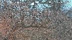 area3-20250408181121.jpg