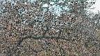 area3-20250409051121.jpg