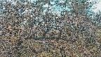 area3-20250409052119.jpg