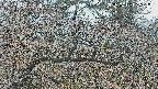 area3-20250409065118.jpg