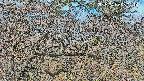 area3-20250409080117.jpg