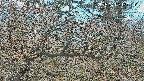 area3-20250409120123.jpg