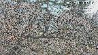 area3-20250409122120.jpg