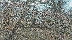 area3-20250409125121.jpg