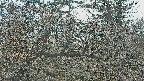 area3-20250409141120.jpg