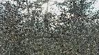 area3-20250409163121.jpg