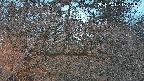 area3-20250409182120.jpg