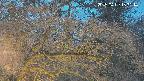 area3-20250409183117.jpg