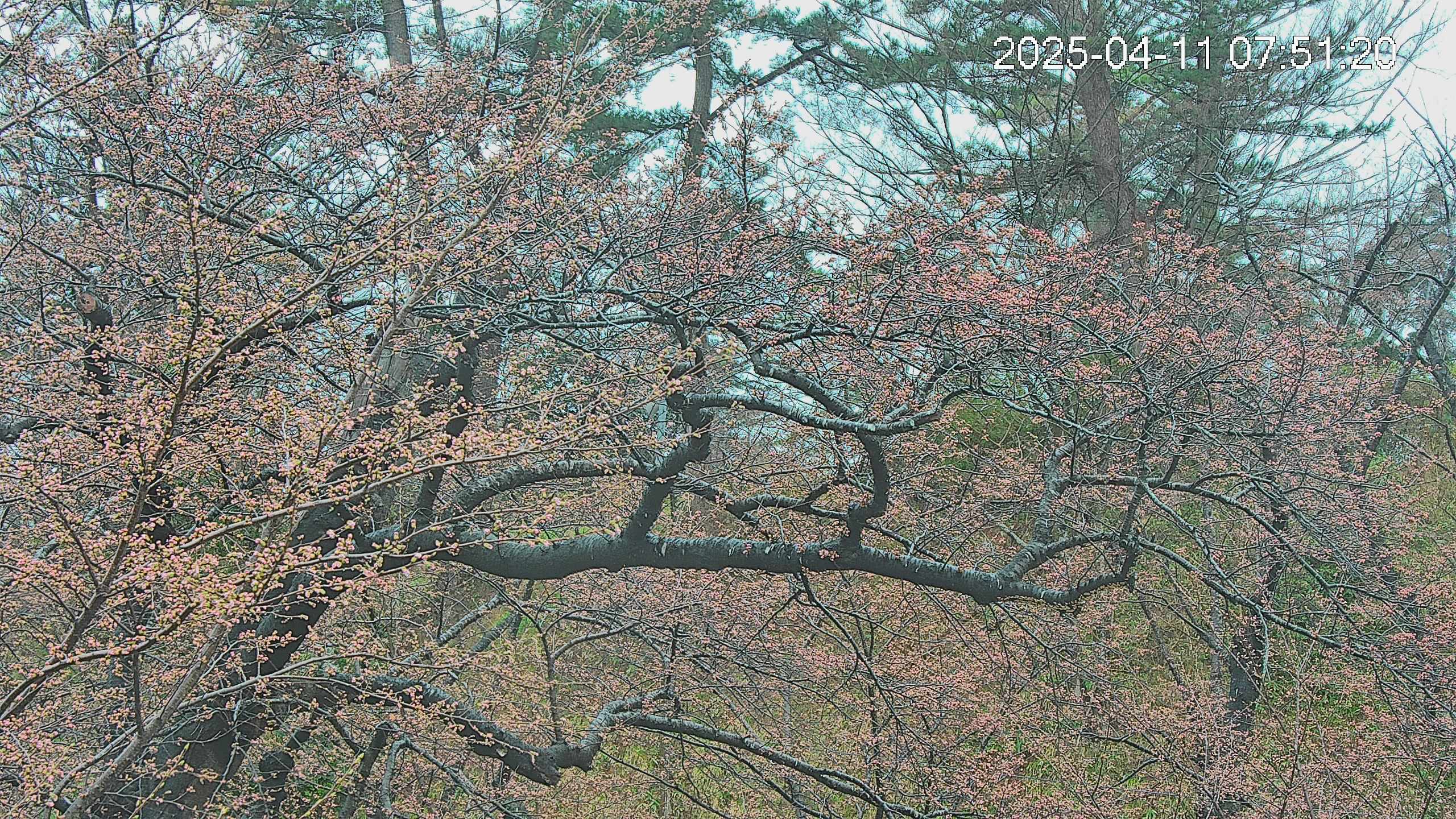 area3-20250411075121.jpg