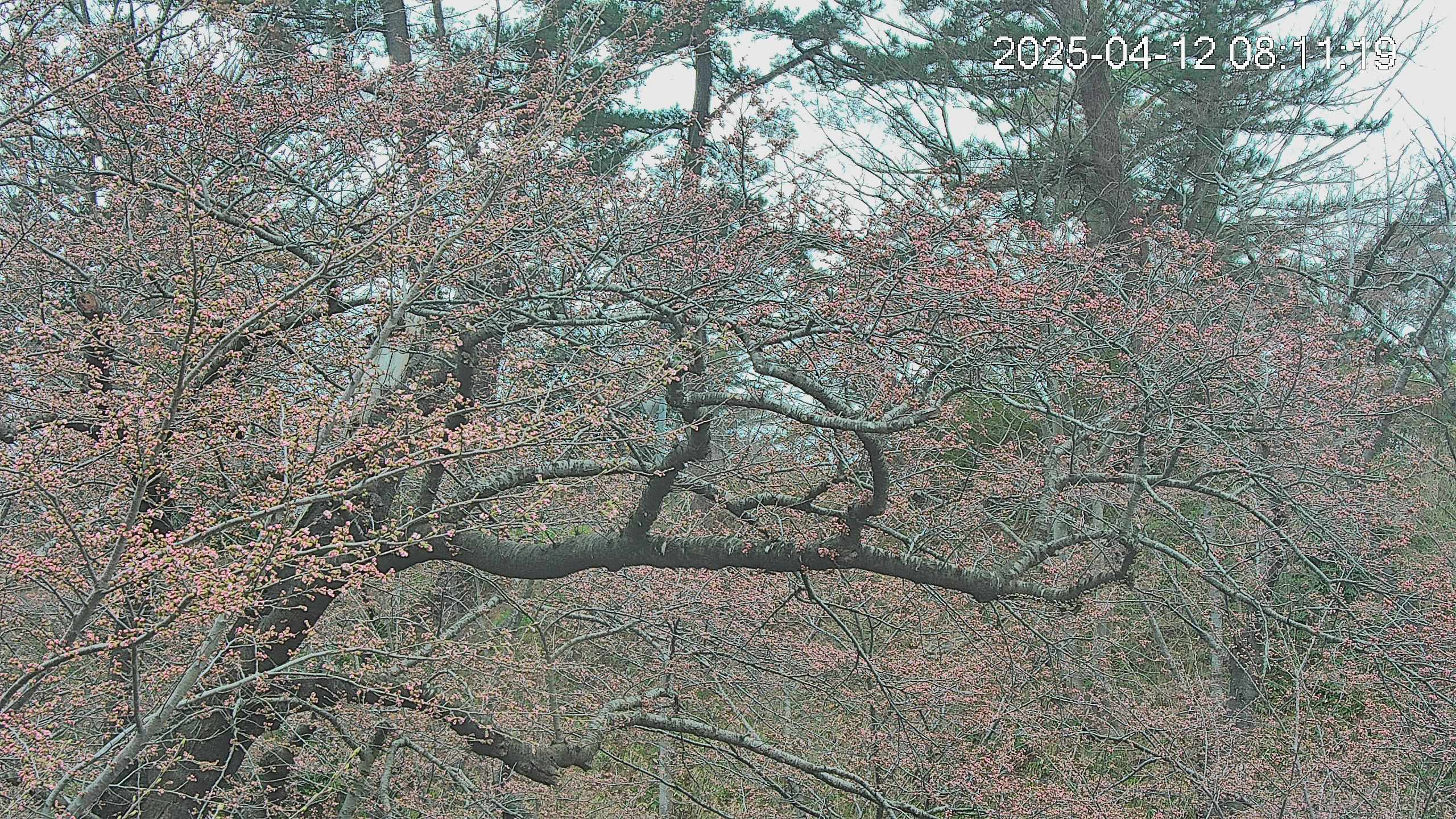 area3-20250412081120.jpg