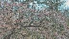 area3-20250413055119.jpg