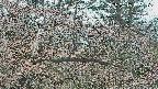 area3-20250413115120.jpg