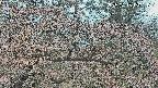area3-20250413120121.jpg