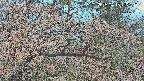 area3-20250413122118.jpg