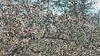 area3-20250413143121.jpg