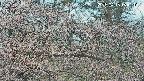 area3-20250413164121.jpg