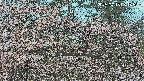 area3-20250415061542.jpg