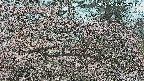 area3-20250415095533.jpg