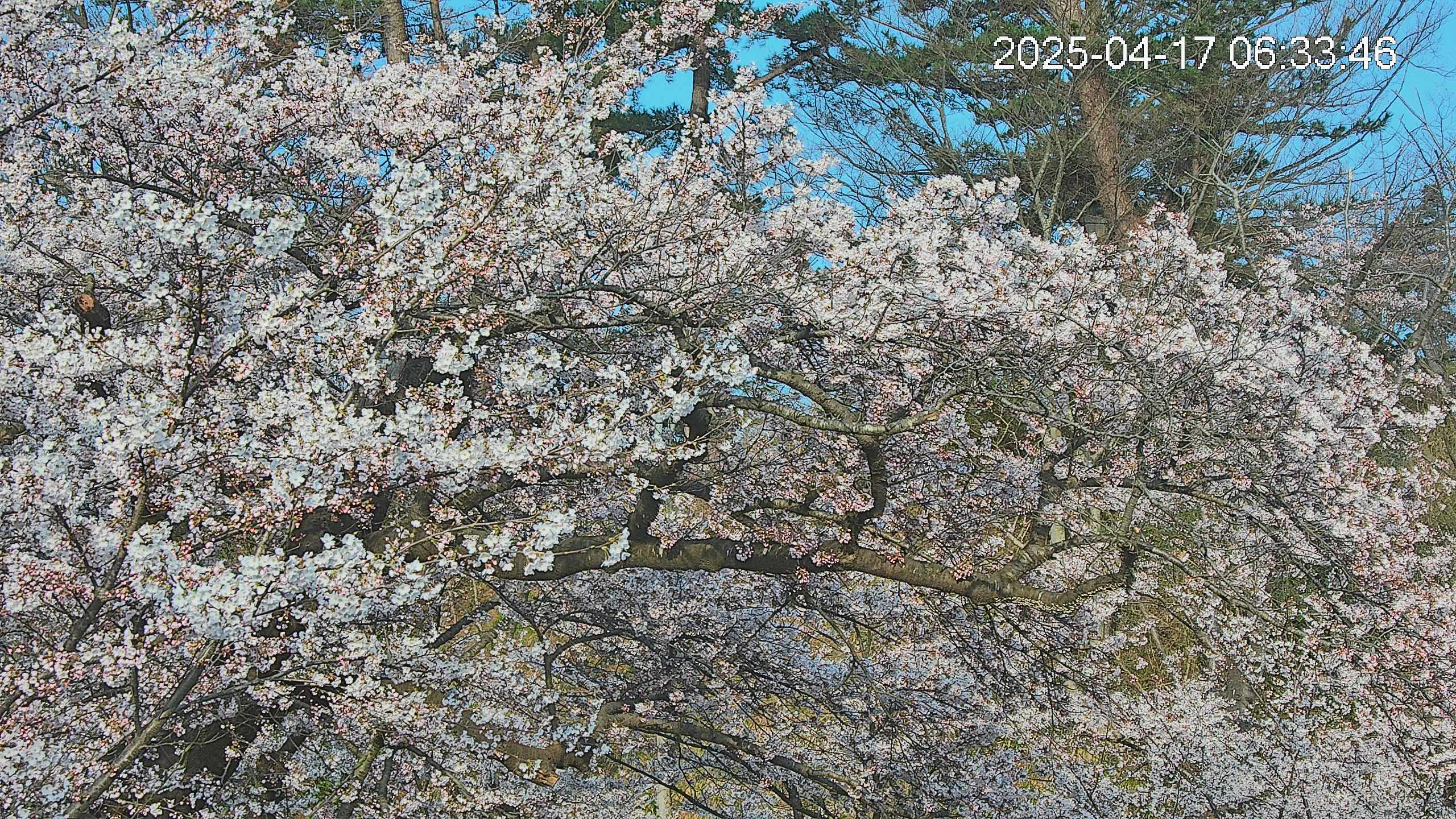area3-20250417063534.jpg
