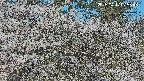 area3-20250417075524.jpg