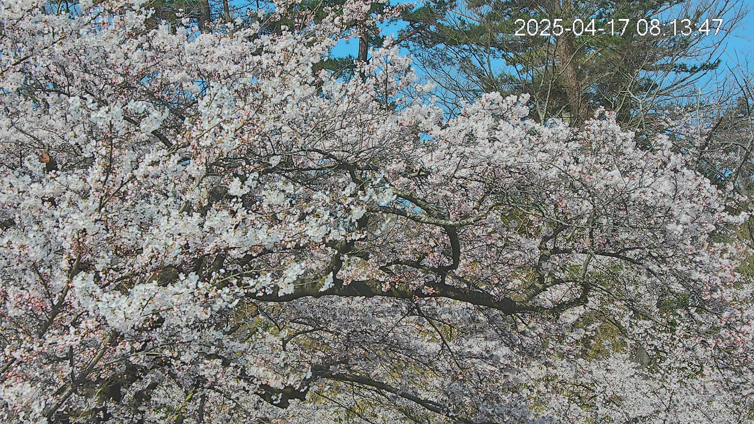 area3-20250417081516.jpg