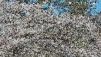 area3-20250417082526.jpg