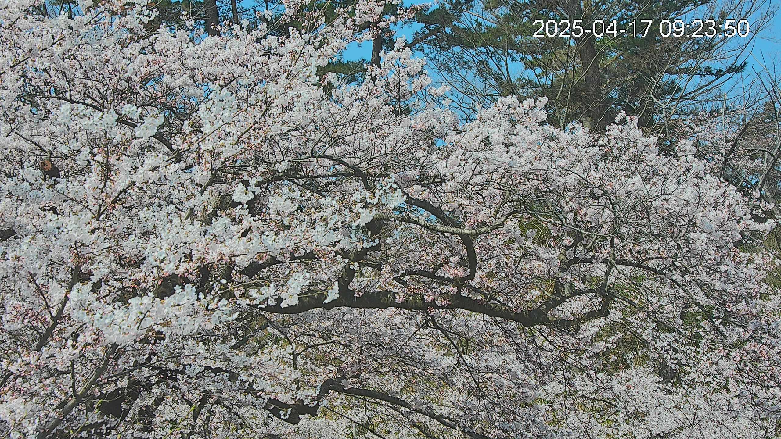 area3-20250417092527.jpg