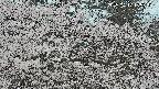 area3-20250417155507.jpg