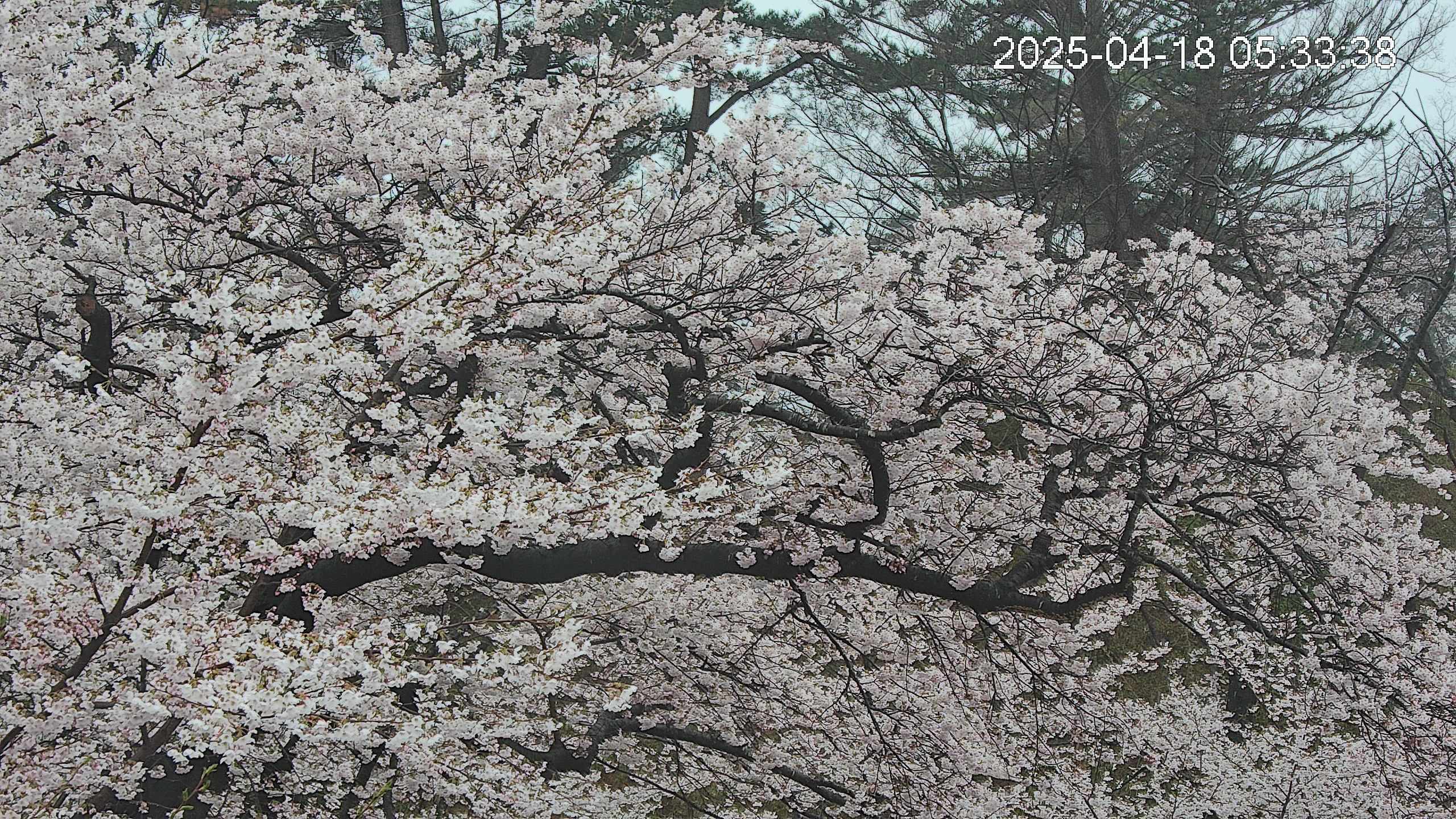area3-20250418053510.jpg